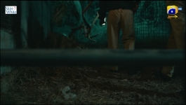 Humraaz - Episode 27 - 31st July 2025